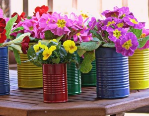 Can-flower-pots