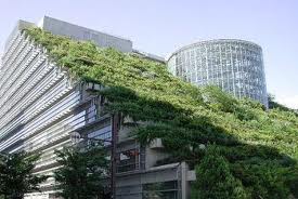 Προς δημοσίευση στο ΦΕΚ η απόφαση για κατασκευή φυτεμένων επιφανειών σε δώματα, στέγες.