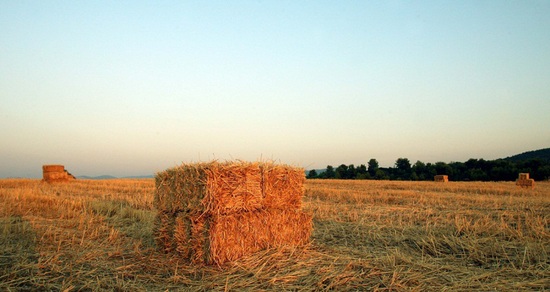 Αυστηρότεροι όροι δόμησης για τα εκτός σχεδίου 
