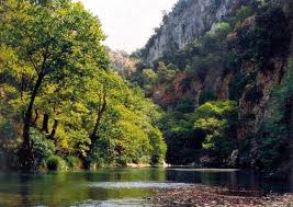 Κατάρρευση του σώματος Επιθεωρητών Περιβάλλοντος